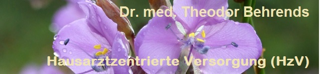  header-v2_3.jpg